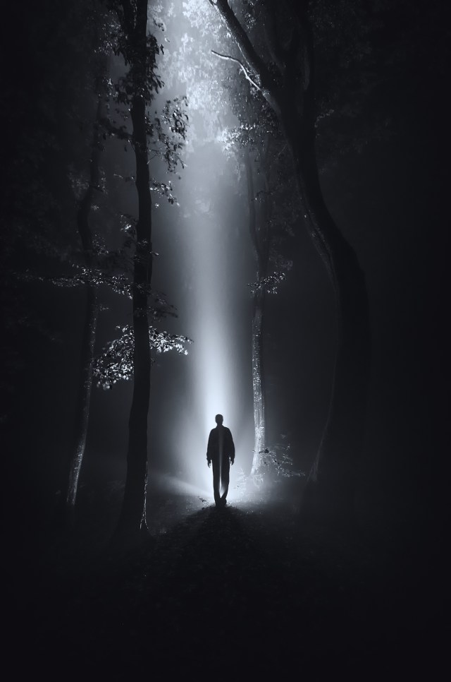 dark scene with man silhouette in forest at night