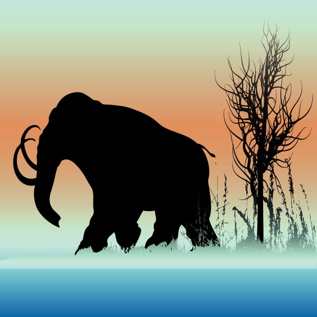 bigstock-Mammoth-Dawn-6138025